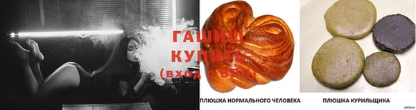 сатива Алексин