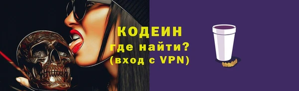 шишки Покачи