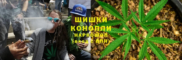 сатива Алексин