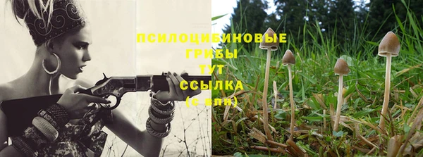 гидропоника Алзамай