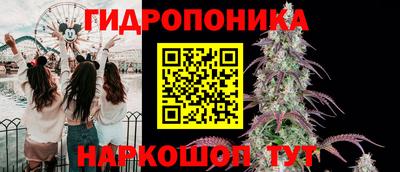 ГАЛЛЮЦИНОГЕННЫЕ ГРИБЫ Нарткала