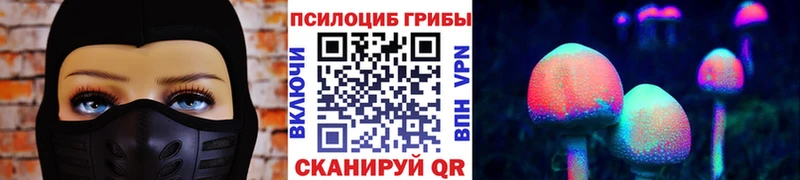 наркотики  Ревда  Галлюциногенные грибы MAGIC MUSHROOMS 