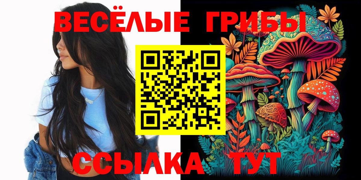 Ревда  Псилоцибиновые грибы GOLDEN TEACHER  Вход с VPN 
