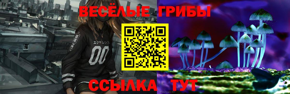 Галлюциногенные грибы Psilocybine cubensis Ревда